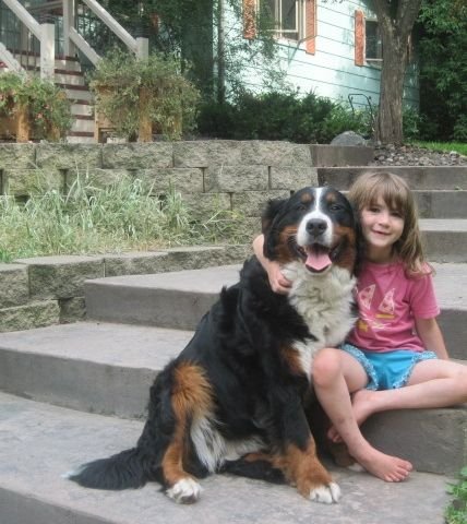 The Martinez Family with their Bernese Mountain Dog