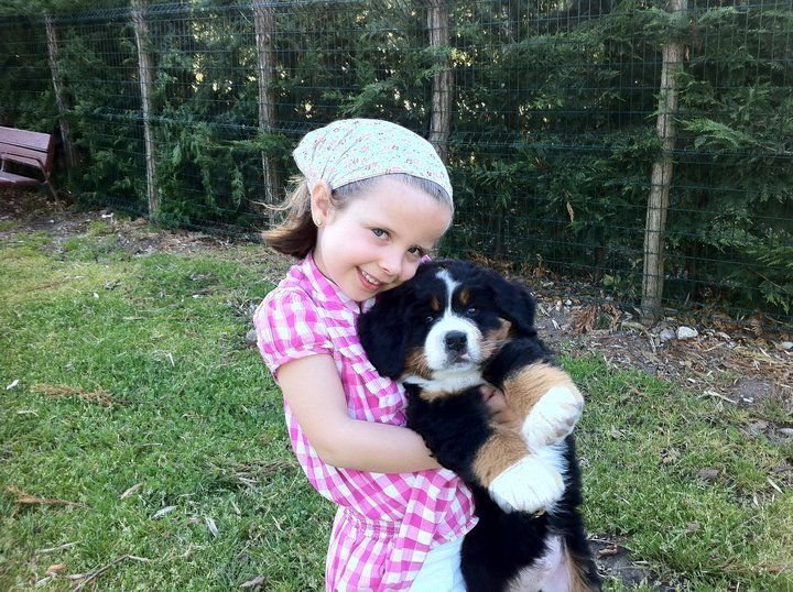 The Thompson Family with their Bernese Mountain Dog