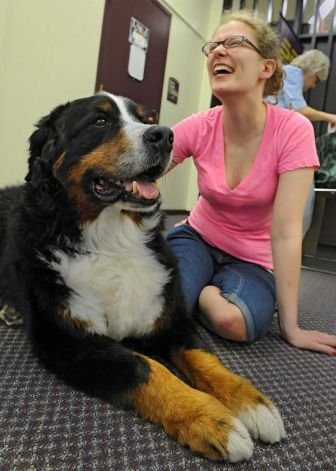 The Davis Family with their Bernese Mountain Dog