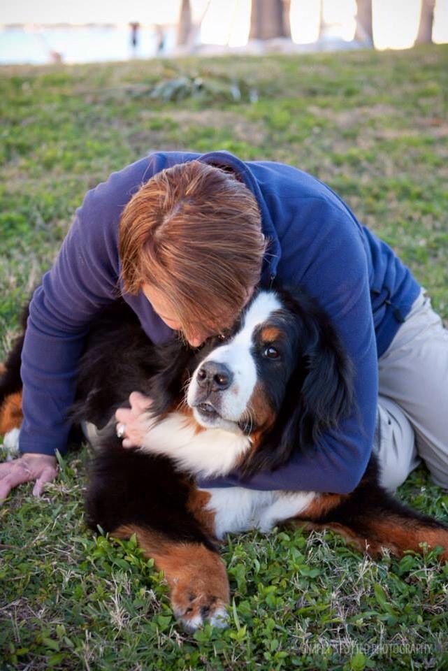 The Brown Family with their Bernese Mountain Dog
