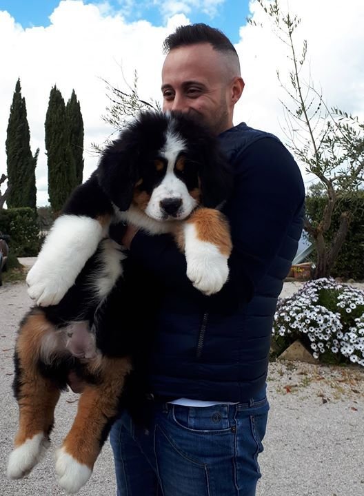 Alex Morgan with their Bernese Mountain Dog