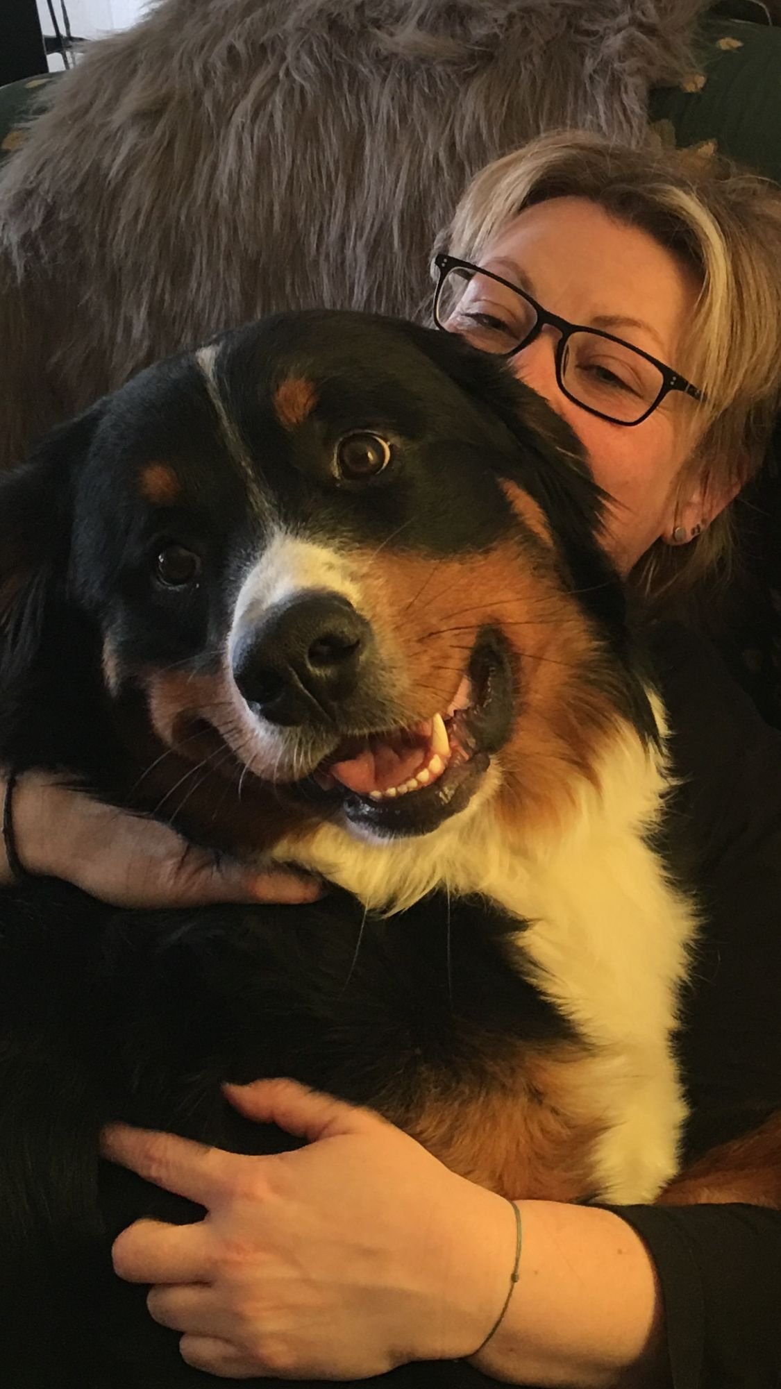 Casey Morgan with their Bernese Mountain Dog